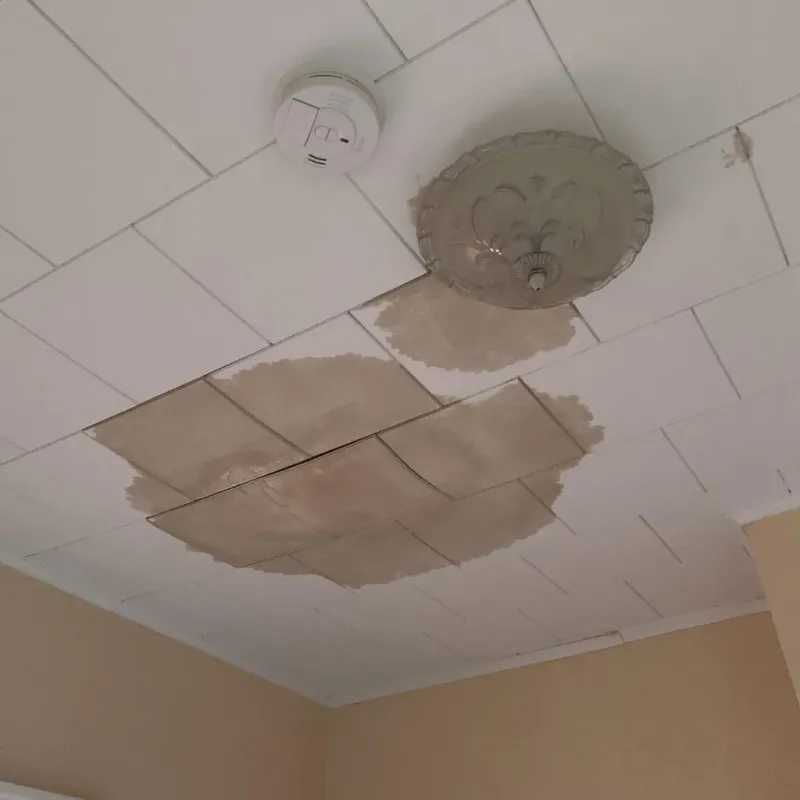 Ceiling Water Damage Repair in City of Covington, VA