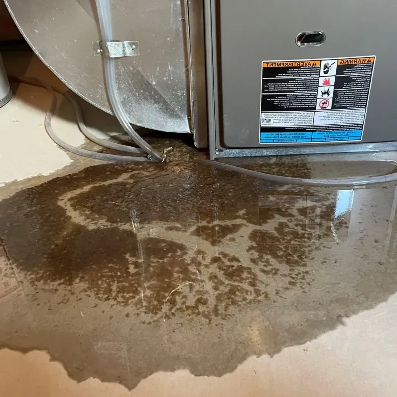 Pipe Burst and Leak Restoration in City of Covington, VA