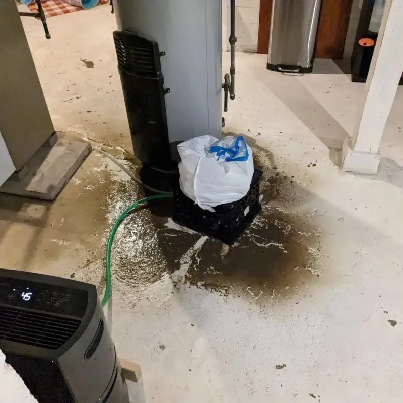 Sewage Backup Cleanup Service in City of Covington, VA